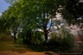 /album/gallery-half-second/pul-vteriny-web48-jpg2/